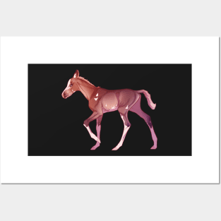 Sabino Foal Posters and Art